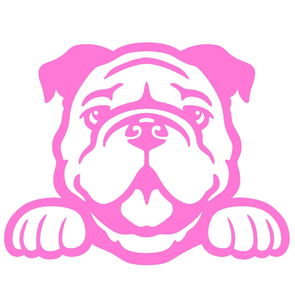 2 Pack - Bulldog Peeking Cute Dog 5" Vinyl Decal Window Sticker - Thumbnail 7