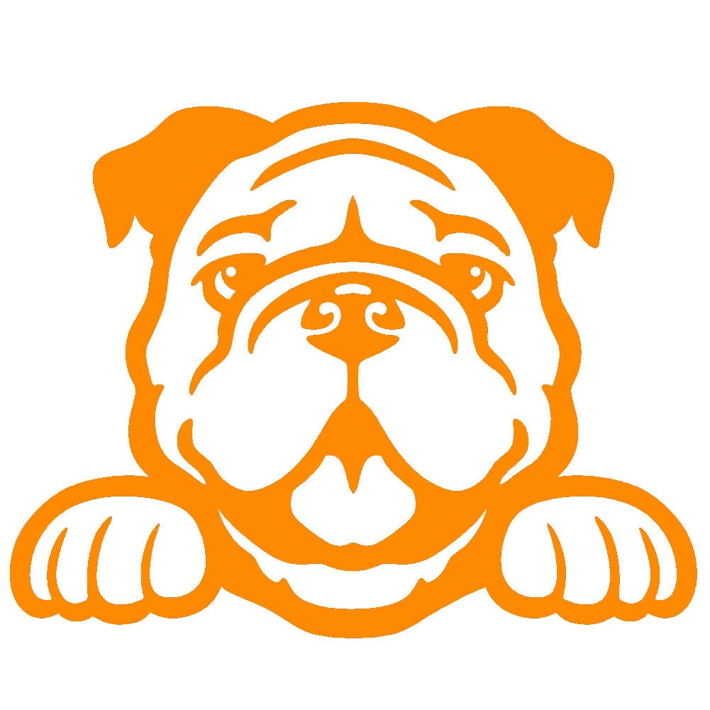 2 Pack - Bulldog Peeking Cute Dog 5" Vinyl Decal Window Sticker - Thumbnail 4