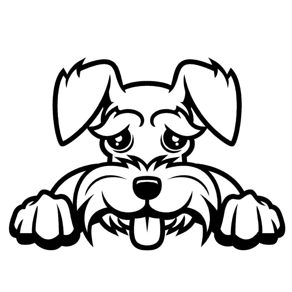 2 Pack - Schnauzer Peeking Cute Dog 5" Vinyl Decal Window Sticker