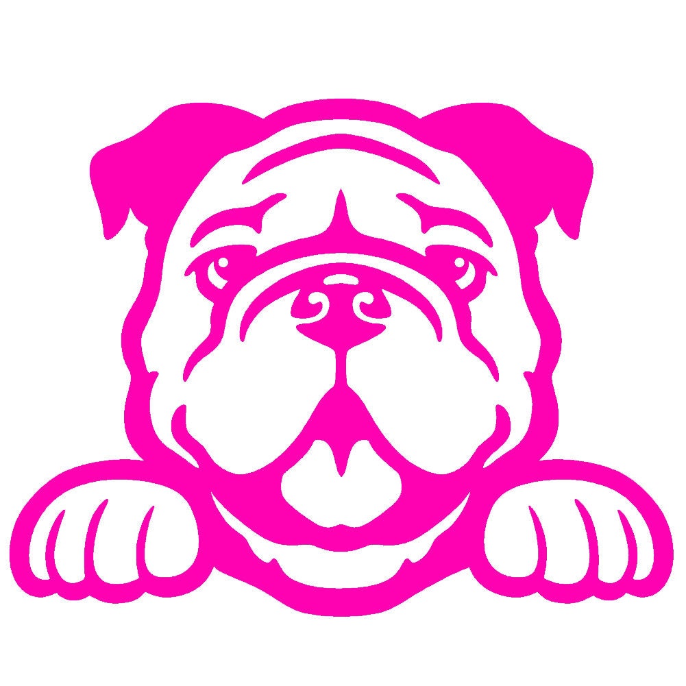 2 Pack - Bulldog Peeking Cute Dog 5" Vinyl Decal Window Sticker - Thumbnail 2
