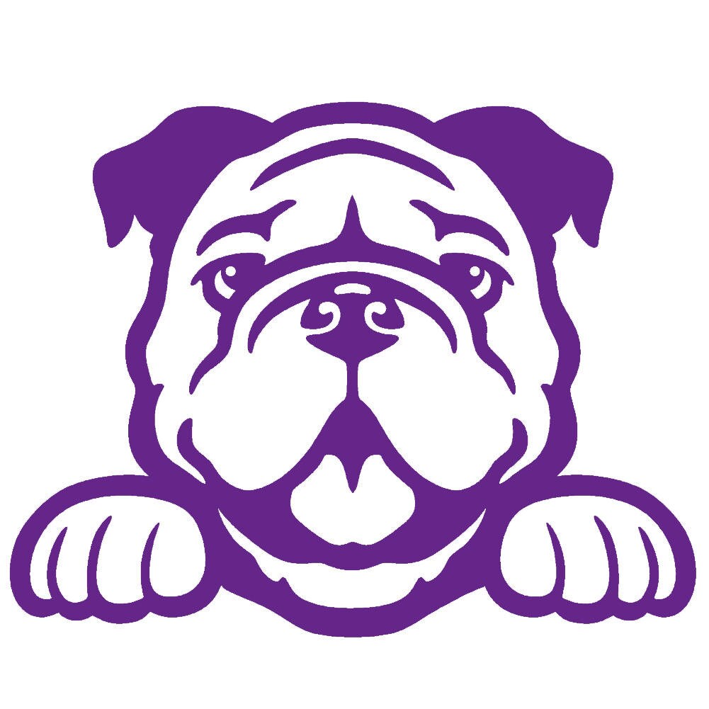 2 Pack - Bulldog Peeking Cute Dog 5" Vinyl Decal Window Sticker - Thumbnail 5