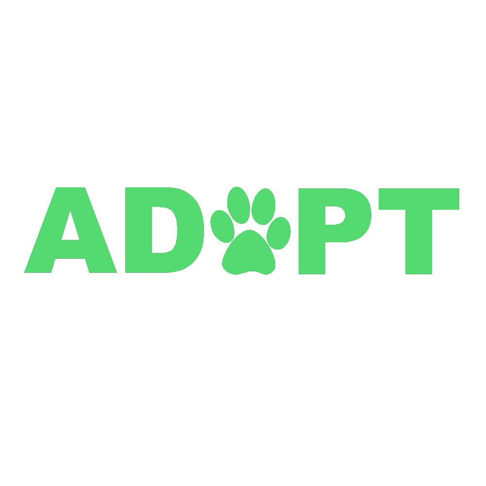 ADOPT with Paw (2-Pack) Cat Dog Pet  - 6"  Vinyl Decal Window Sticker - Thumbnail 4