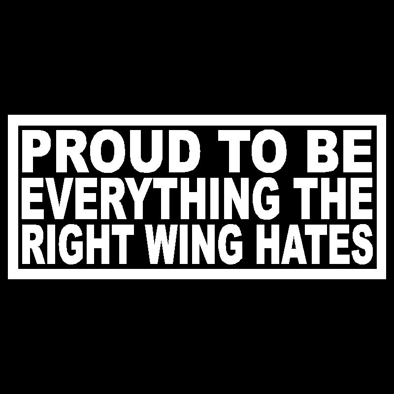 2 Pack - Proud to be everything the right wing hates 8" Vinyl Decal Window Sticker