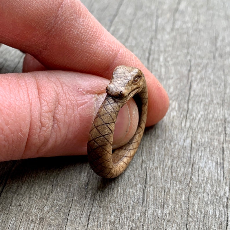 Ouroboros Snake Eating Its Tail Ring Hand Carved in Walut Wood | Etsy