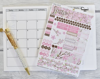 Annie Plans B6 Size Monthly Kit | You pick the month! 839L