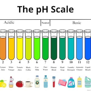 Tabla de escala de pH a todo color para imprimir / Clase de química / Tabla de pH ácido-alcalino (Descargar PDF)
