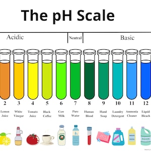 pH-schaalgrafiek afdrukken | PDF-download | Scheikunde voor klaslokaal | Zuur Alkalisch pH-diagram