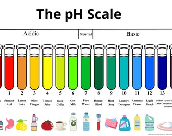 pH Scale Chart Print | PDF Download | Chemistry For Classroom  |  Acid Alkaline pH chart