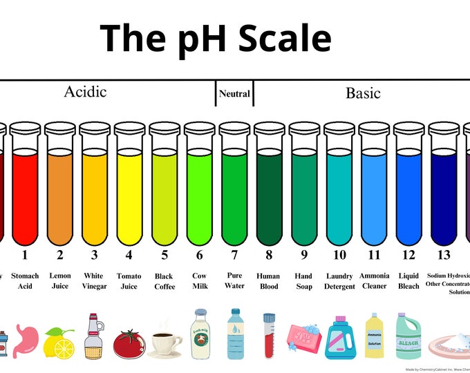 Water and Food Ph Color Chart - Etsy