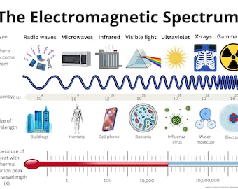 Electromagnetic Spectrum Chart Print | PDF Download | Chemistry For Classroom  |  Wave length Chart