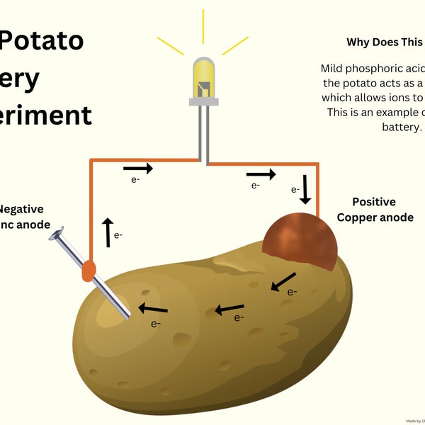 Potato Battery Experiment | PDF Download | Chemistry For Classroom | Cool Science Experiment