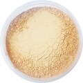 SUMMER BISK Light Concealer All-Natural Kosher Full-Coverage Mineral Cover Up Full Size 9g - Soft Matte Finish Loose Powder!