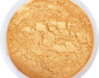 BEIGE BISK medium concealer volledig natuurlijk koosjer volledig dekkende minerale cover-up volledige grootte 9 g - zachte, matte afwerking los poeder!