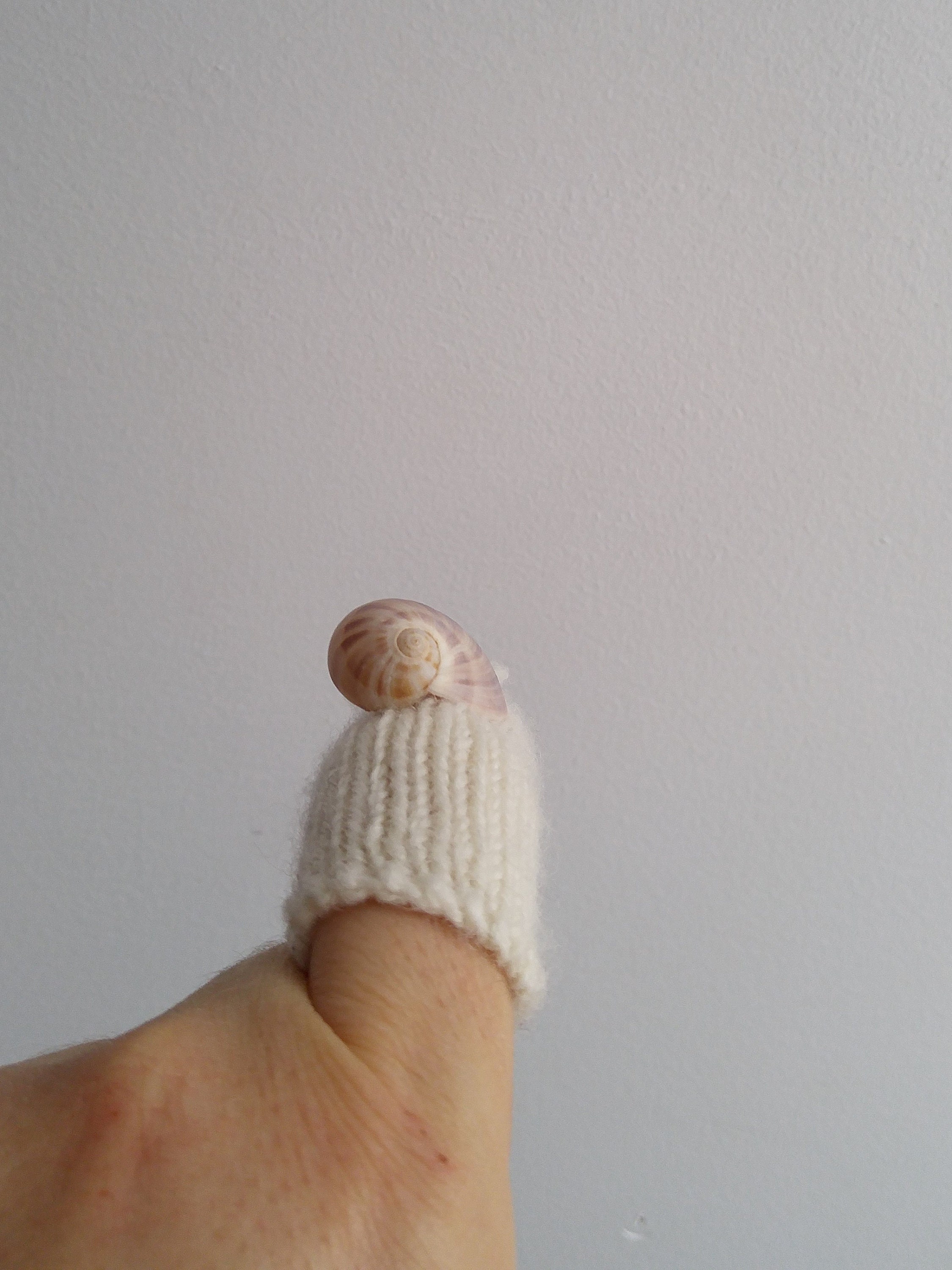 Títeres de caracol casa pequeña blanco / caracol dedo | Etsy