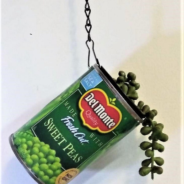 String of Pearls / Can of Peas Planter / Succulent Pot