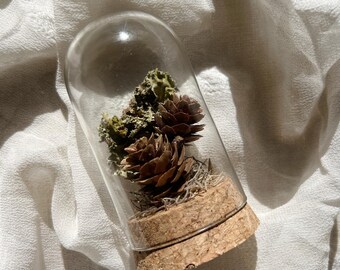 Campanas de flores secas, flores secas, arte botánico, decoración del hogar, decoración floral