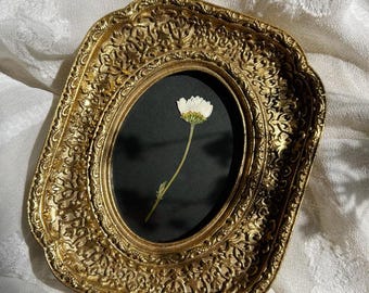 botanical art, floral preservation, real pressed flowers, vintage inspired, vintage style frame