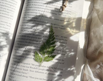 Marcador botánico, flores prensadas reales, amante de la naturaleza.