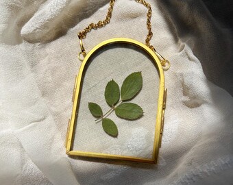 Arte botánico, flores prensadas reales