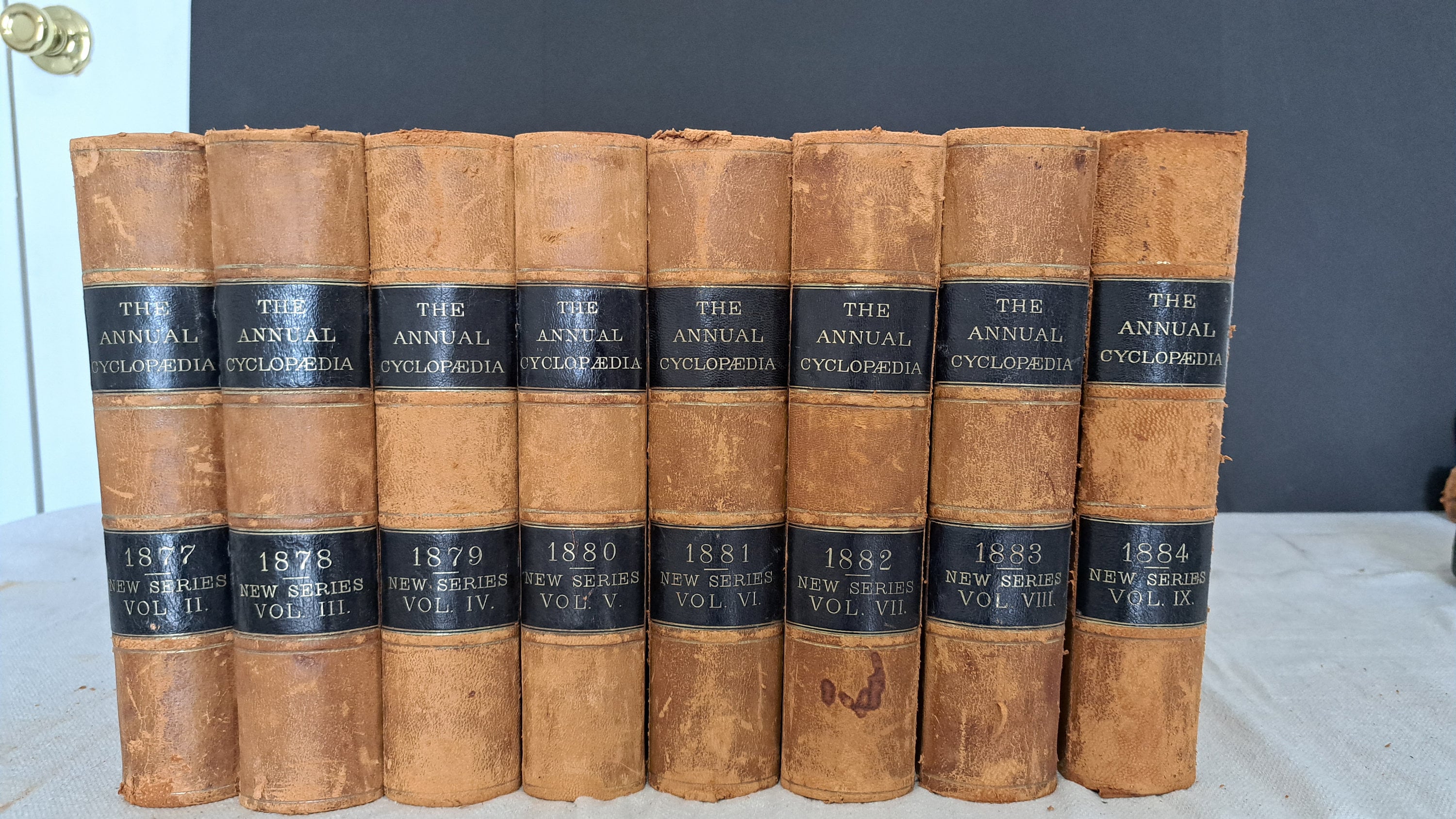 1877 Through 1884 Leather Bound Annual Cyclopedia Set - Etsy