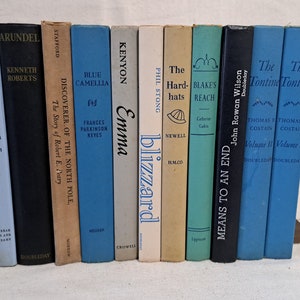Collection of 12 vintage colorful novels l2