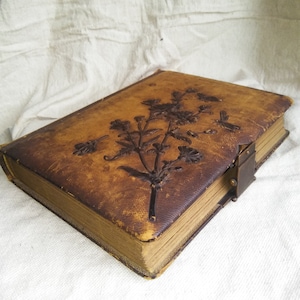 1880s Finely leather bound album of professional cabinet cards