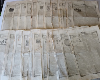 Collezione di 26 Boston Cultivator Newspapers dal 1846 al 1847