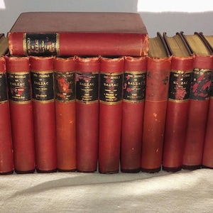 Complete 30 volume set The Novels Of H. De Balzac from The Gebbie Publishing Company