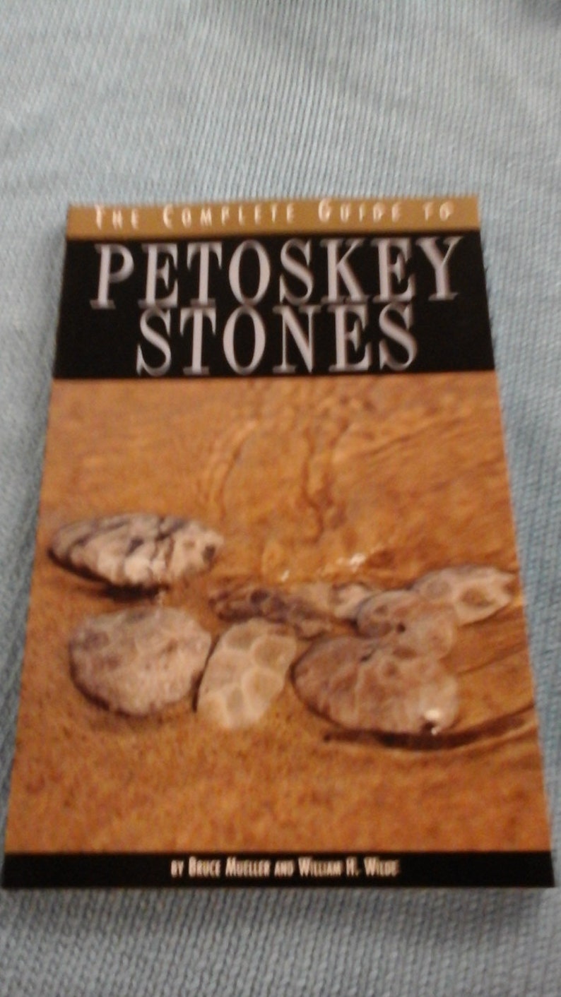 The Complete Guide to Petoskey Stones - Etsy