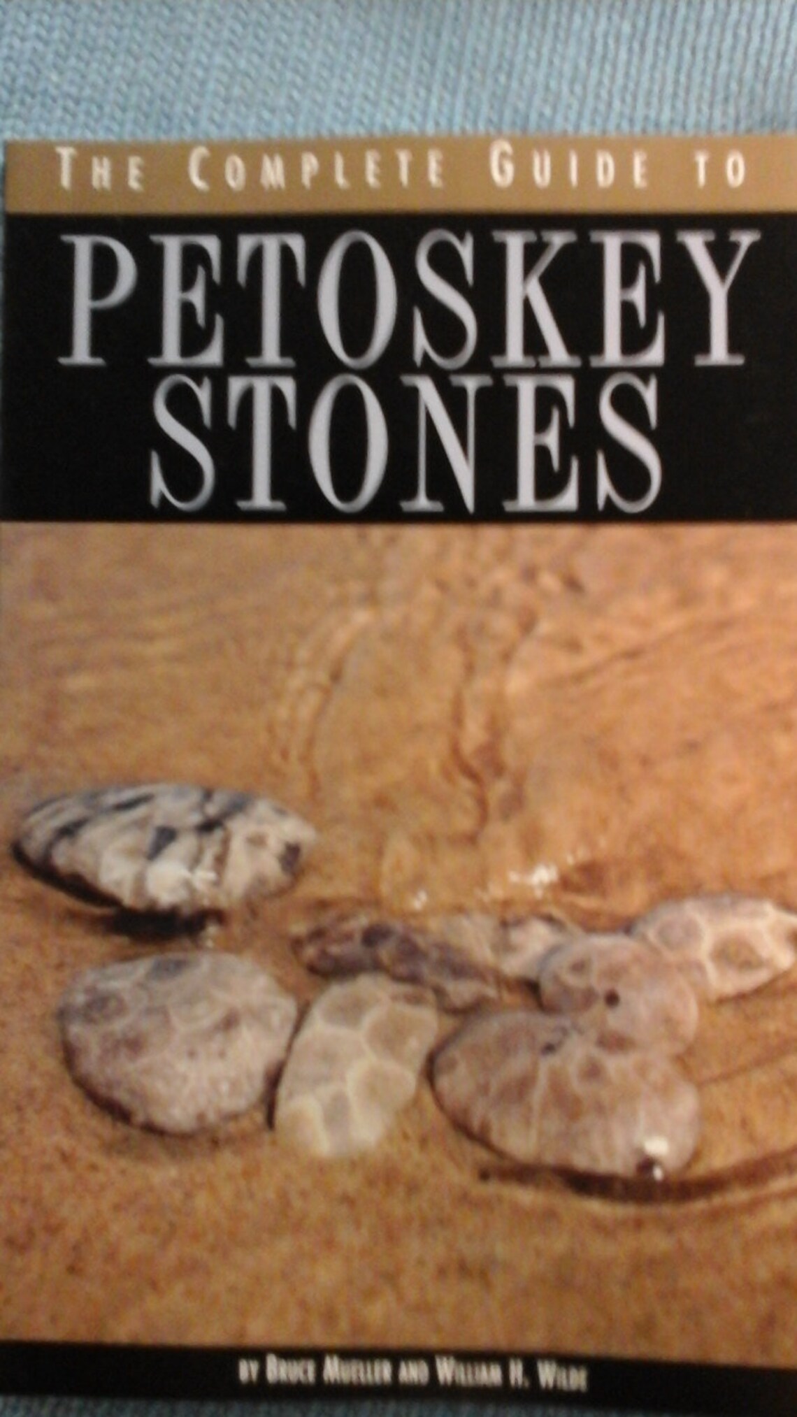 The Complete Guide to Petoskey Stones - Etsy