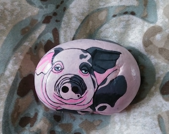 Hand painted Spotted pig rock