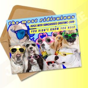 Tarjeta de cumpleaños divertida para perro / Tarjeta de felicitación divertida para celebrar un cachorro / Regalo para amantes de los perros / Tarjeta de felicitación divertida para animales / Tarjeta de cumpleaños ridícula