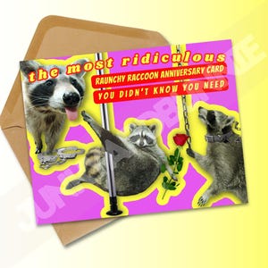 Tarjeta de aniversario con un mapache lascivo y un panda de la basura / Tarjeta de felicitación para adultos / Tarjeta de aniversario divertida / Regalo para amantes de los mapaches / Arte animal divertido