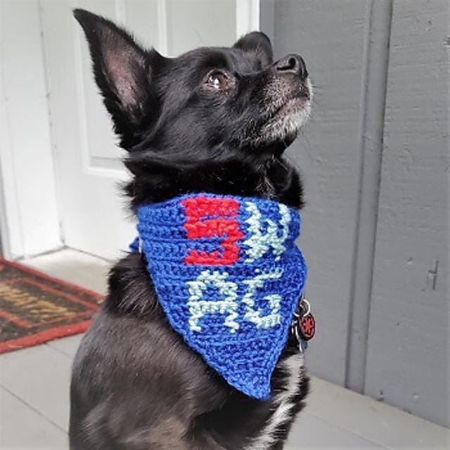 40 Dog Crochet Patterns for Amigurumi, Wearables, and Giftable Makes 2 Easy Beginner Adjustable Crochet Dog Bandana