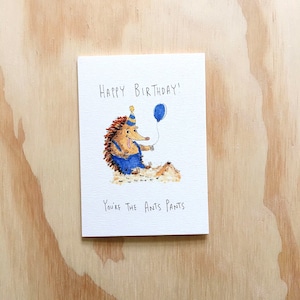 May include: A birthday card featuring a cartoon hedgehog wearing a party hat and holding a blue balloon. The card reads "Happy Birthday! You're the Ants Pants."