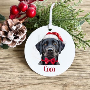Personalised Dog Bauble, Custom Christmas Ornament, Pet Owner Gift, Dog Lover Decoration