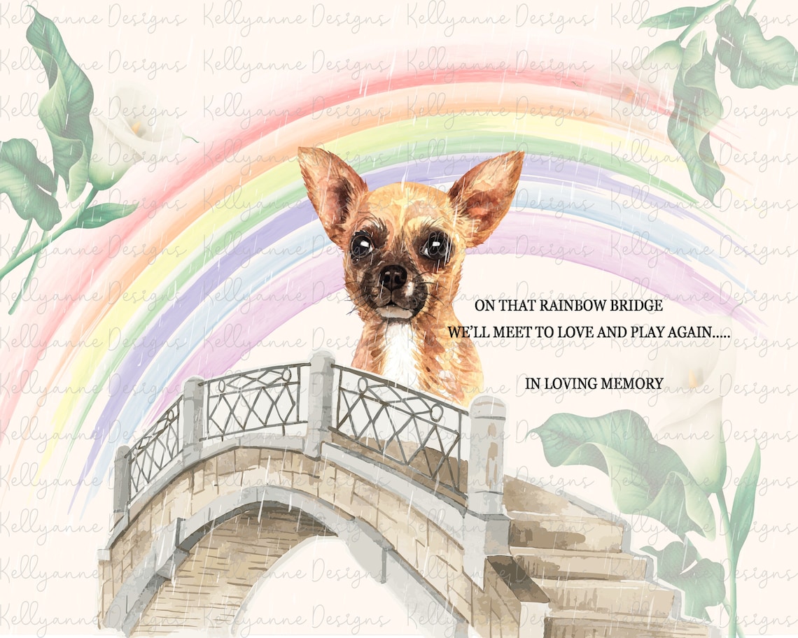 Chihuahua Dog Memorial Rainbow Bridge Personalised Rock Slate Etsy