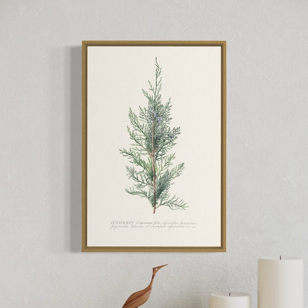 Juniper Print Shop Etsy