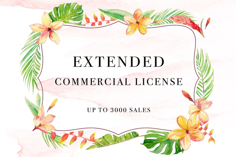 Extended Commercial License up to 3000 sales Applicable to 1 Clip Art Set image 1