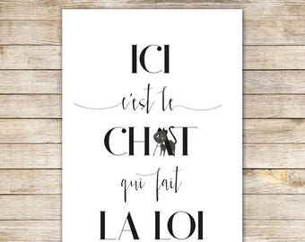 Affiche A4 - Loi du chat