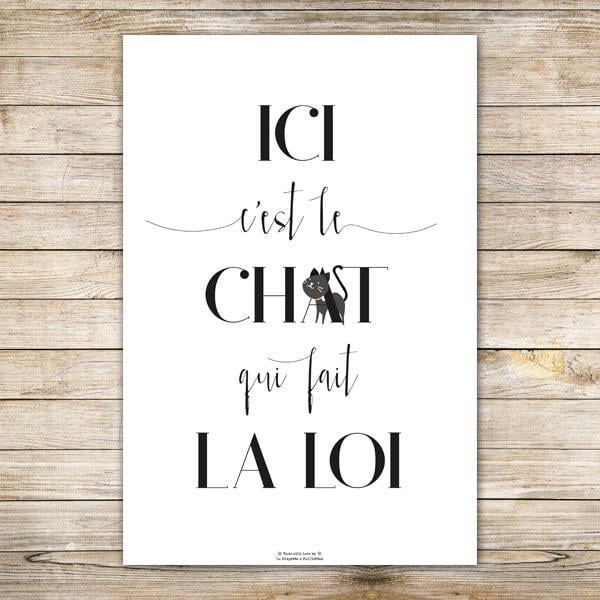 Affiche A4 - Loi Du Chat