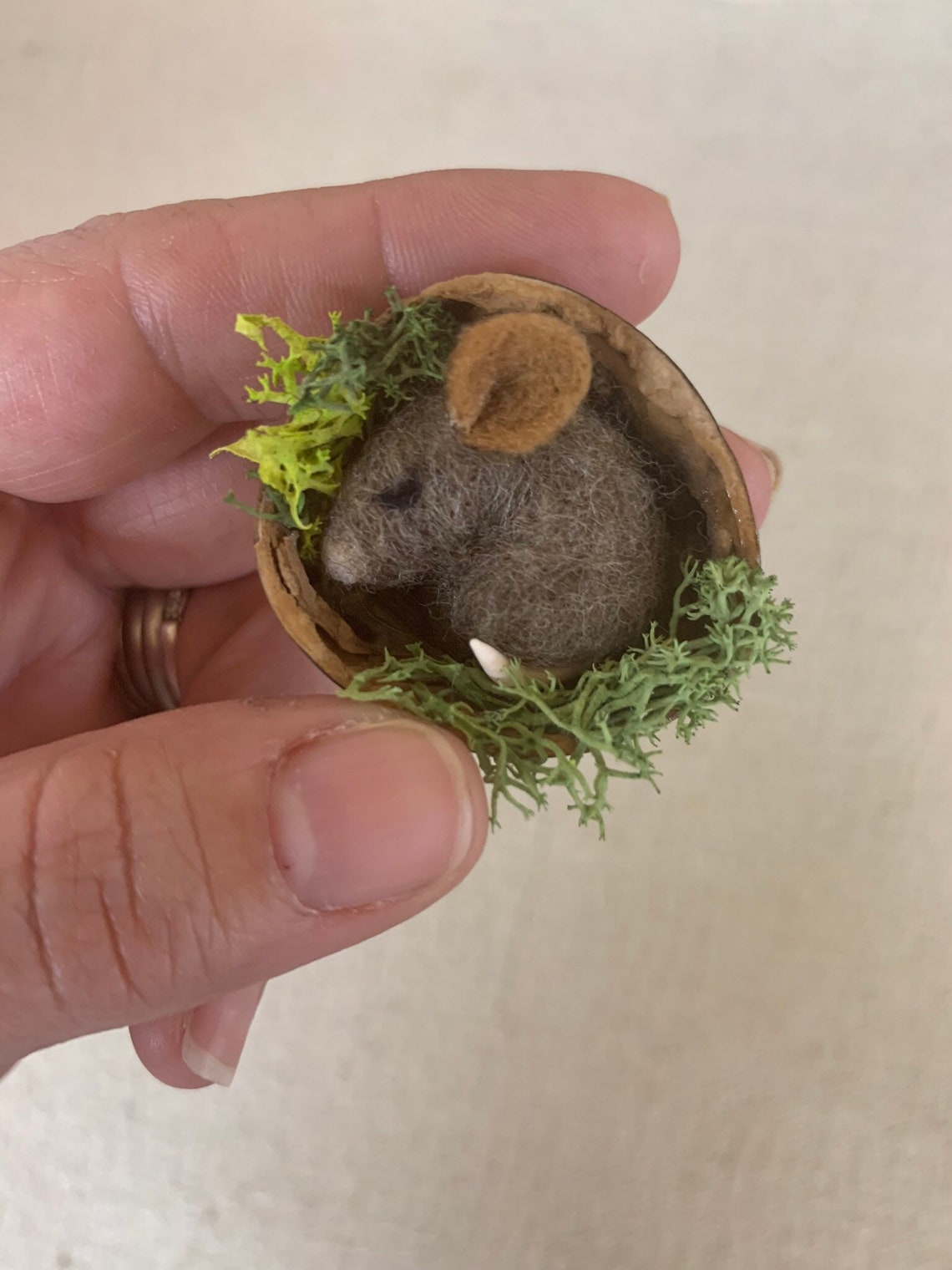 Cute Mouse in a Walnut Shell Curled up Sleepy Mice Handmade Etsy UK