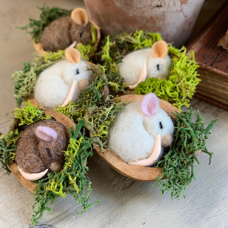 Cute Mouse in a walnut shell curled up sleepy Mice Handmade Etsy