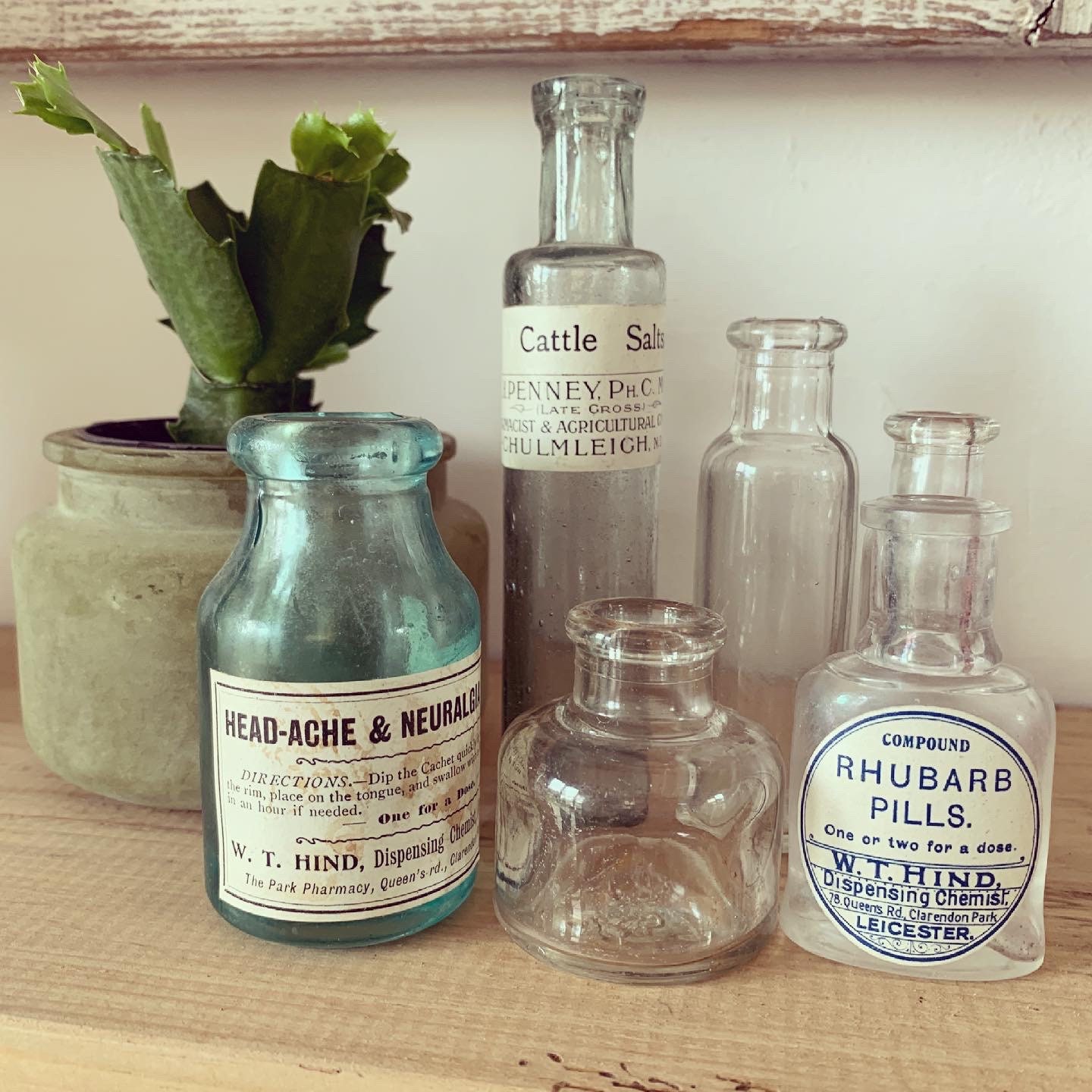 Vintage Glass Bottles Propagate plants Vintage Decor Etsy