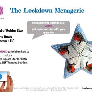 9. A Round of Robins 3D Warped Square Star Beading Pattern, The ninth of the LOCKDOWN Menagerie Collection, New style Video Tutorial. image 2