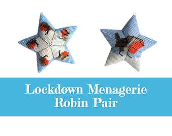 A Pair of Robins BUNDLE 3D Warped Square Star Beading Pattern, from the Lockdown Menagerie Collection, New style Video Tutorial.