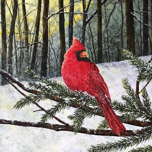 May include: A bright red cardinal perched on a snow-covered evergreen branch in a snowy forest. The background is a blurred image of trees and a hint of a yellow sunset.