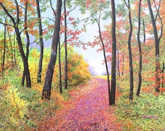 May include: A path through an autumnal woodland, with colourful leaves on the ground and trees with changing foliage.