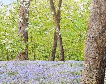 Bluebells Wall Art - Meadow Painting - Forest Painting - Colorful Landscape - Trees Painting - Flower Painting - Matted Print