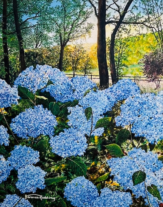 Blue Hydrangea Print - Colorful Landscape - Nature Art - Flowers